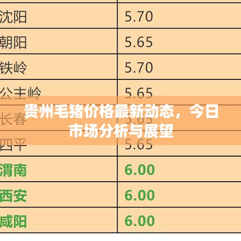 貴州毛豬價(jià)格最新動態(tài)，今日市場分析與展望