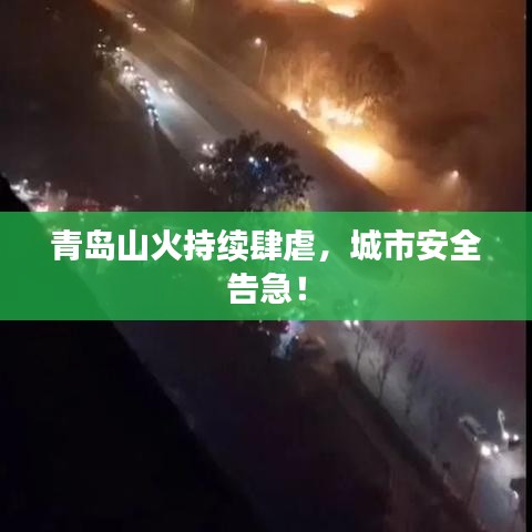 青島山火持續(xù)肆虐，城市安全告急！