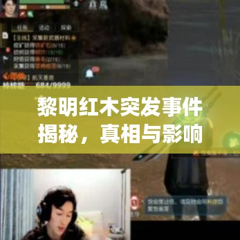 黎明紅木突發(fā)事件揭秘，真相與影響探究