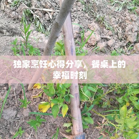 獨(dú)家烹飪心得分享，餐桌上的幸福時(shí)刻