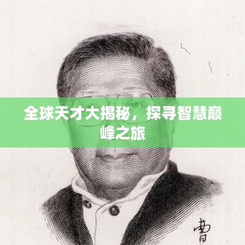 全球天才大揭秘，探尋智慧巔峰之旅