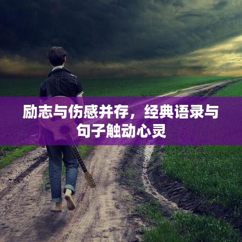 勵(lì)志與傷感并存，經(jīng)典語(yǔ)錄與句子觸動(dòng)心靈