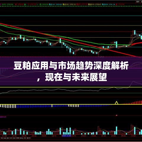 豆粕應(yīng)用與市場(chǎng)趨勢(shì)深度解析，現(xiàn)在與未來(lái)展望