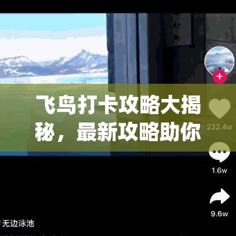 飛鳥打卡攻略大揭秘，最新攻略助你暢游天際！