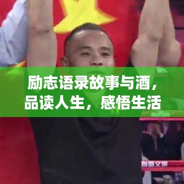 勵(lì)志語錄故事與酒，品讀人生，感悟生活力量