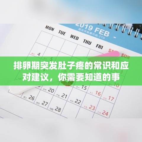 排卵期突發(fā)肚子疼的常識和應對建議，你需要知道的事