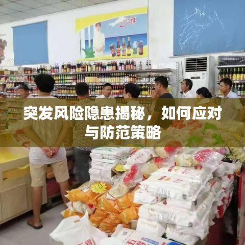 突發(fā)風險隱患揭秘，如何應對與防范策略