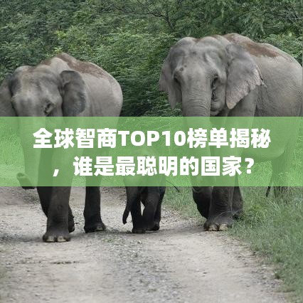 全球智商TOP10榜單揭秘，誰是最聰明的國家？