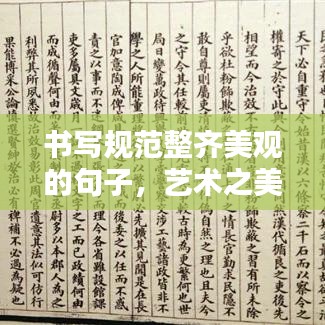 書(shū)寫規(guī)范整齊美觀的句子，藝術(shù)之美的文字打造