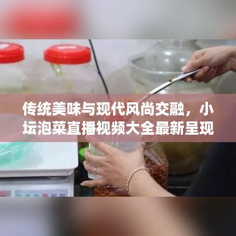 傳統(tǒng)美味與現(xiàn)代風(fēng)尚交融，小壇泡菜直播視頻大全最新呈現(xiàn)