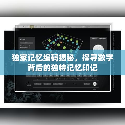 獨(dú)家記憶編碼揭秘，探尋數(shù)字背后的獨(dú)特記憶印記