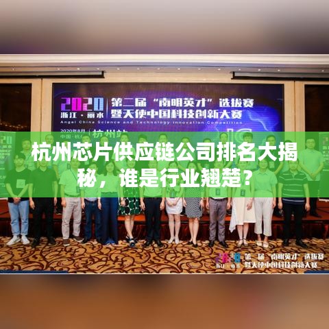 杭州芯片供應(yīng)鏈公司排名大揭秘，誰是行業(yè)翹楚？