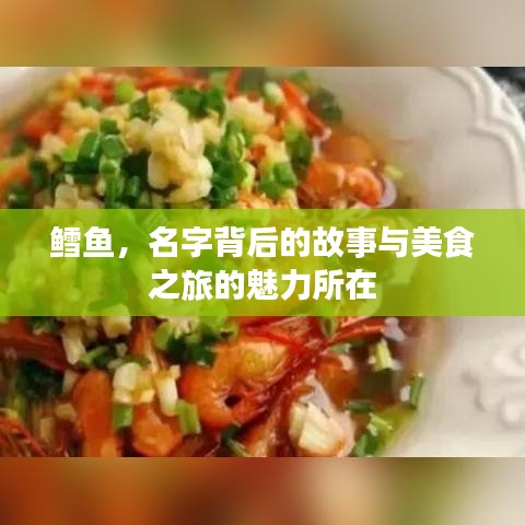 鱈魚，名字背后的故事與美食之旅的魅力所在