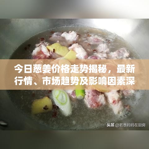 今日蔥姜價格走勢揭秘，最新行情、市場趨勢及影響因素深度解析