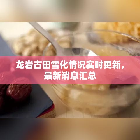 龍巖古田雪化情況實(shí)時(shí)更新，最新消息匯總