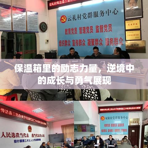 保溫箱里的勵志力量，逆境中的成長與勇氣展現(xiàn)