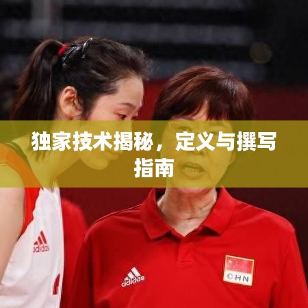 獨(dú)家技術(shù)揭秘，定義與撰寫指南