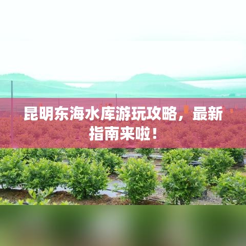 昆明東海水庫(kù)游玩攻略，最新指南來(lái)啦！