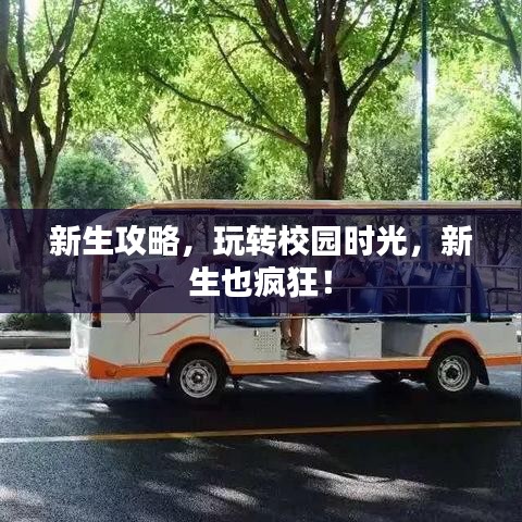 新生攻略，玩轉(zhuǎn)校園時光，新生也瘋狂！