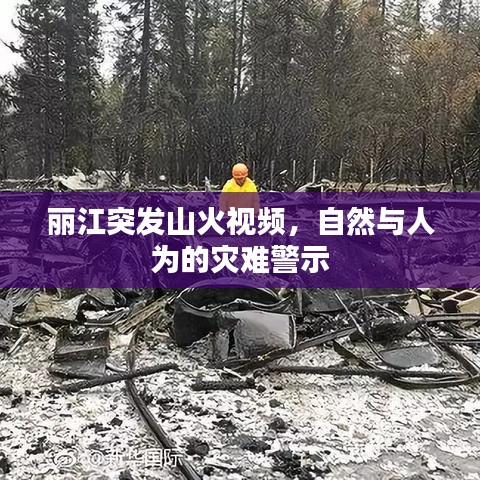 麗江突發(fā)山火視頻，自然與人為的災難警示