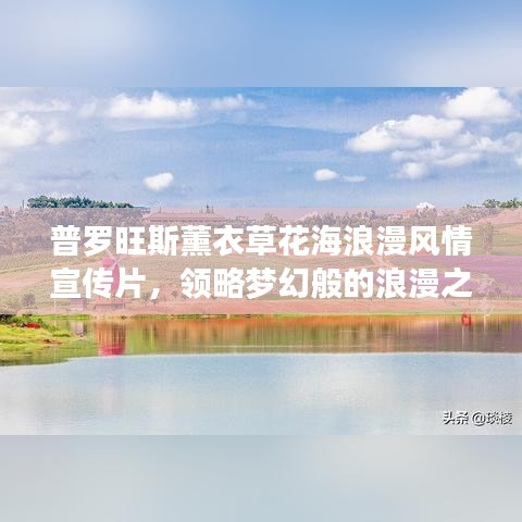 普羅旺斯薰衣草花海浪漫風情宣傳片，領略夢幻般的浪漫之旅！