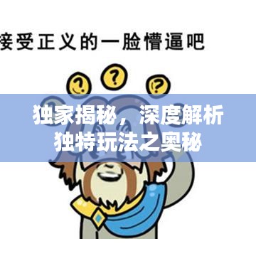 獨(dú)家揭秘，深度解析獨(dú)特玩法之奧秘