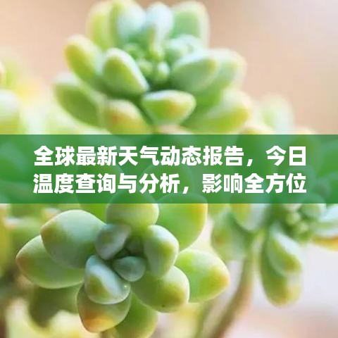 全球最新天氣動(dòng)態(tài)報(bào)告，今日溫度查詢與分析，影響全方位解讀
