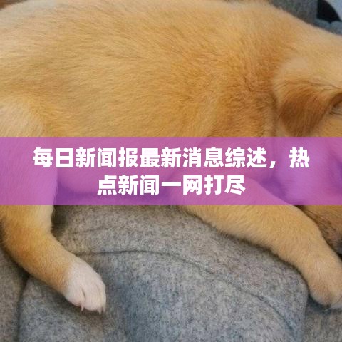 每日新聞報(bào)最新消息綜述，熱點(diǎn)新聞一網(wǎng)打盡